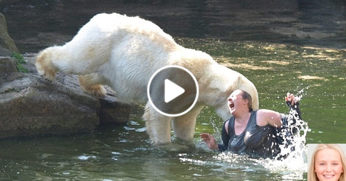 White Bear Tears The Woman Into Pieces Within Minutes Of Her Falling